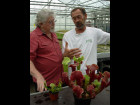 EEE 2010 - Leiden, Carniflora, Allen Lowrie e il boss di Carniflora commentano un nuovo ibrido di Sarracenia